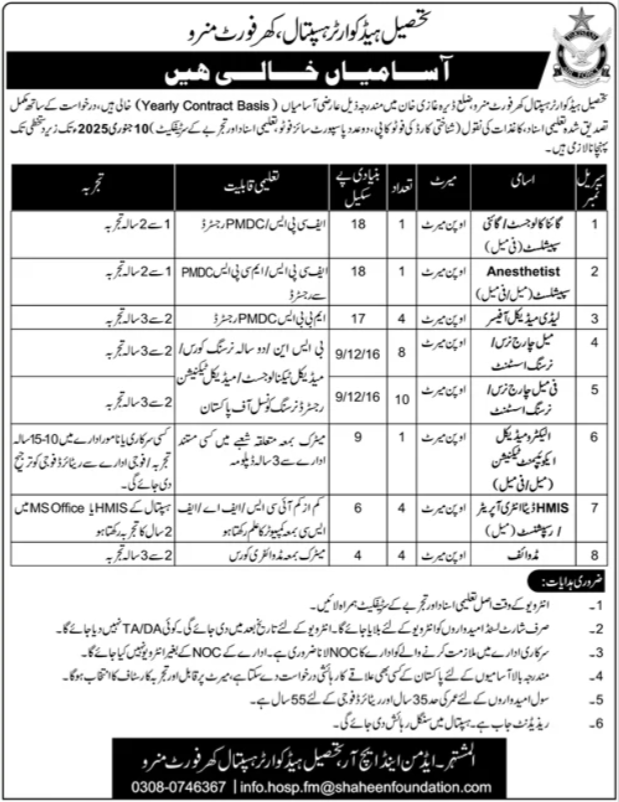 Tehsil Headquarter Hospital THQ Dera Ghazi Khan Jobs 2024 Jobs 2024 — original advertisement