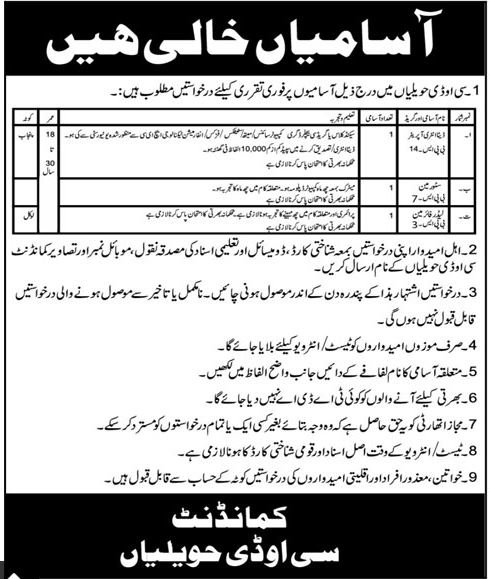 Central Ordnance Depot COD Havelian Jobs 2025 – Pakistan Army Jobs 2024 — original advertisement