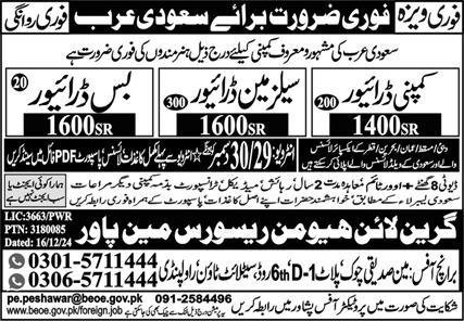 Company Driver And Bus Driver Jobs in Saudia Arabia 2024 – Green Line Human Resource Manpower Jobs 2024 — original advertisement