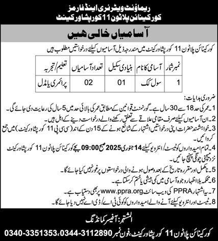 Core Canine Platoon 11 Core Peshawar Jobs 2024 – Pakistan Army Jobs 2024 — original advertisement
