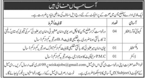 Welfare Organization Chaman Jobs 2025 – Public Sector Organization Jobs 2025 — original advertisement