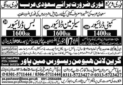 Company Driver Jobs in Saudia Arabia 2025 – Green Line Human Resource Manpower Jobs 2025 — original advertisement