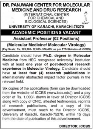University Of Karachi UoK Job 2025 Jobs 2025 — original advertisement