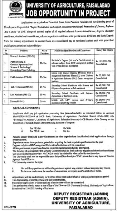 University of Agriculture Faislabad Punjab Jobs 2025 – University of Agriculture Faisalabad Jobs 2025 — original advertisement