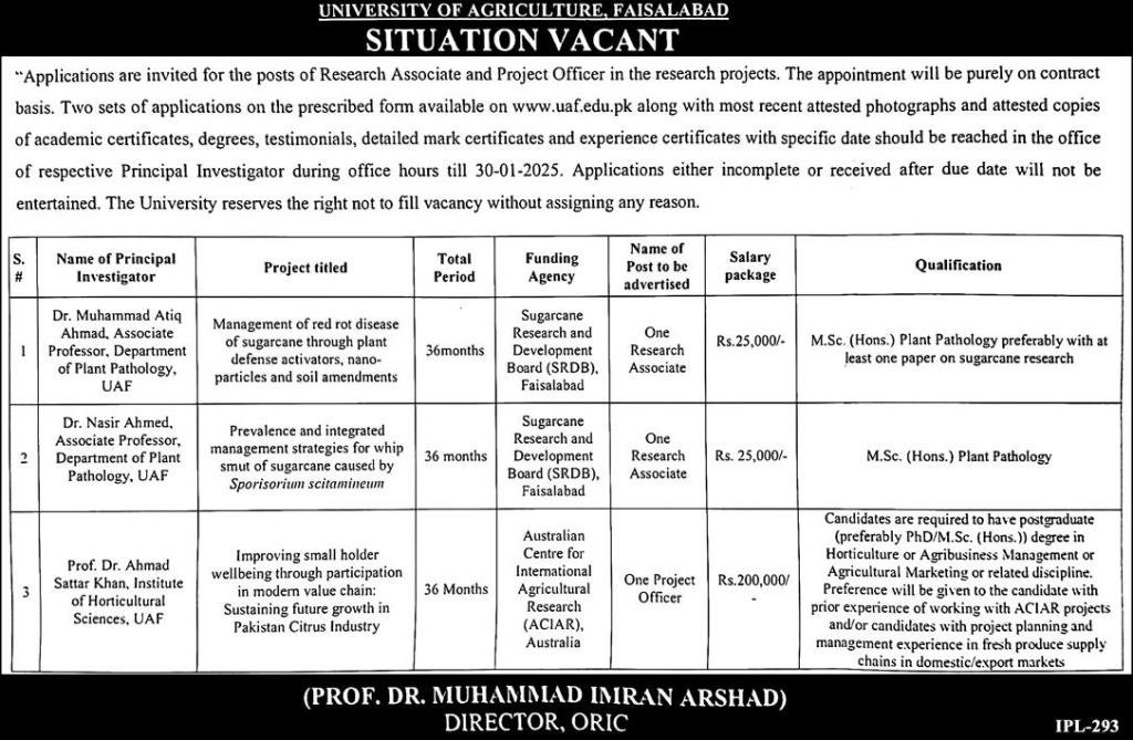 University Of Agriculture Faisalabad UAF Jobs 2025 Jobs 2025 — original advertisement