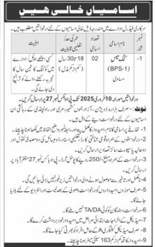 Federal Government Organization Rawalpindi Jobs 2025 Jobs 2025 — original advertisement