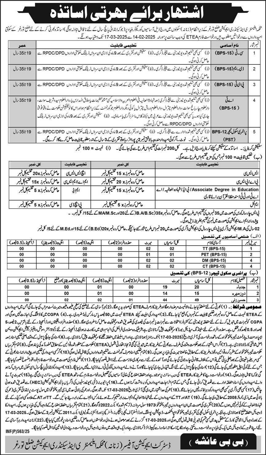 Elementary and Secondary Education Department Torghar Jobs – Elementary Secondary & Higher Secondary Department Jobs 2025 — original advertisement