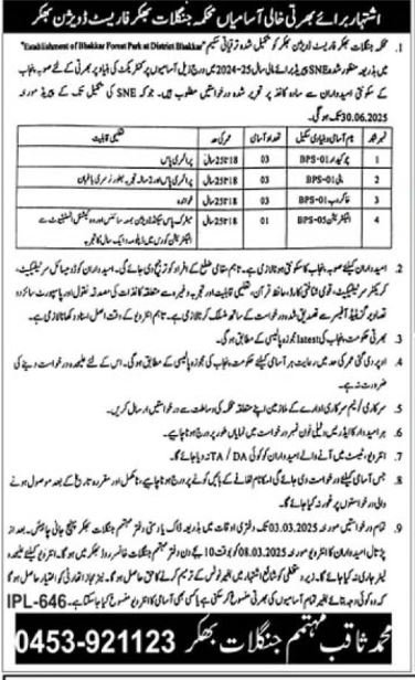 Forest Department Bhakkar Punjab Jobs 2025 – Forest Wildlife & Fishries Department Punjab Jobs 2025 — original advertisement