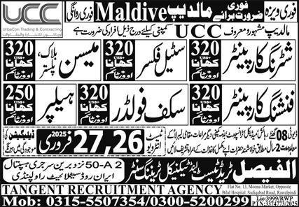 Scaffolder & Finishing Carpenter Jobs 2025 – Al Faisal Trade Test & Technical Training Center Jobs 2025 — original advertisement