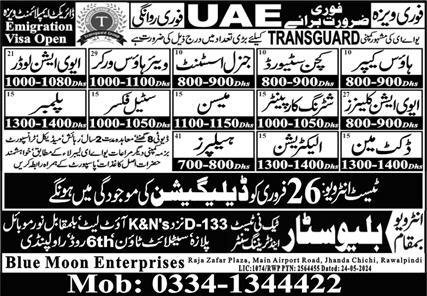 Kitchen Steward & Aviation Loader Jobs 2025 In UAE – Blue Star Techni Test & Training Center Jobs 2025 — original advertisement