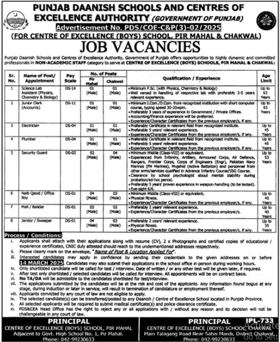 Punjab Daanish School And Centres of Excellence Jobs 2025 Jobs 2025 — original advertisement