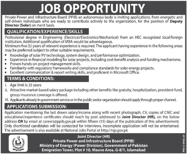 Private Power And Infrastructure Board PPIB Jobs 2025 – Punjab Public Private Partnership Authority (PPPA) Jobs 2025 — original advertisement