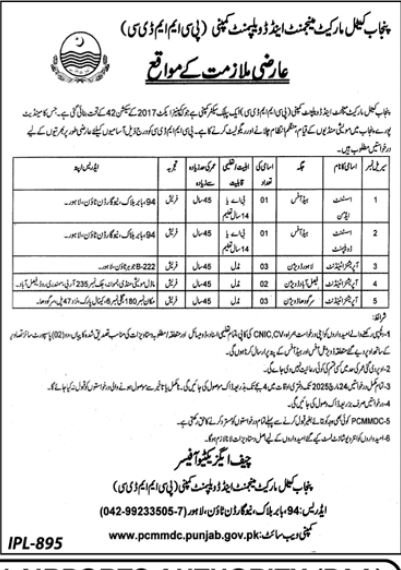 Punjab Cattle Market Management Company Jobs 2025 – Private Company Jobs 2025 — original advertisement