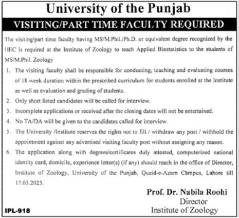 University Of The Punjab Visiting Faculty Jobs 2025 – University of Punjab Jobs 2025 — original advertisement