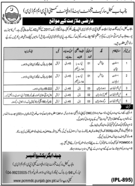 Punjab Cattle Market Management & Development Company Jobs – Private Company Jobs 2025 — original advertisement