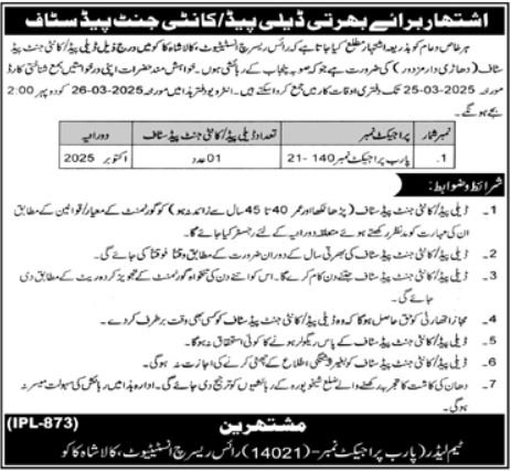 Rice Research Institute Kala Shah Kaku Job 2025 Jobs 2025 — original advertisement