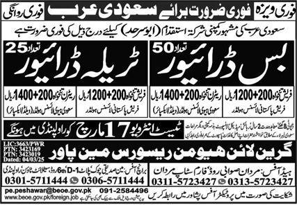 Bus Driver And Tralla Driver Jobs in Saudia Arabia 2025 – Green Line Human Resource Manpower Jobs 2025 — original advertisement