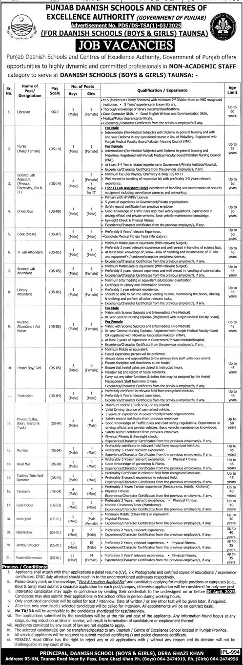 Punjab Daanish Schools Boys And Girls Tounsa Jobs 2025 Jobs 2025 — original advertisement
