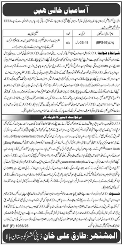 Deputy Commissioner DC Office Kohistan Upper Jobs 2025 – Revenue Department KPK Jobs 2025 — original advertisement