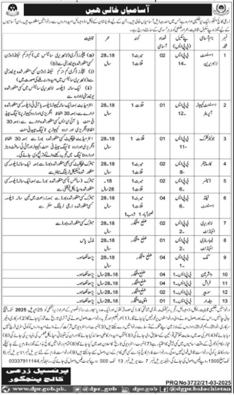 Agriculture College Panjgur Balochistan Jobs 2025 Jobs 2025 — original advertisement