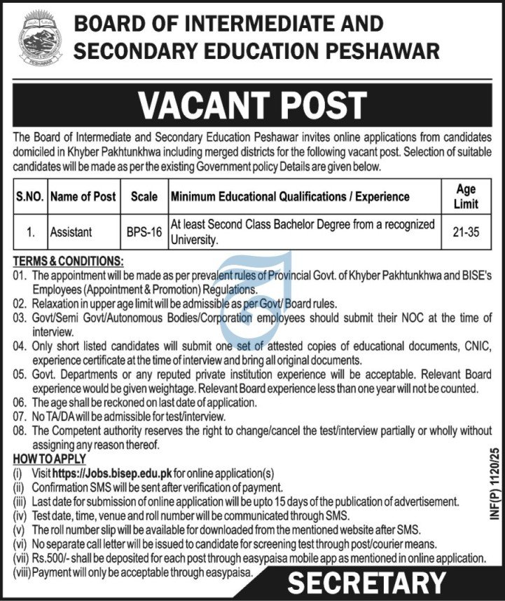 Board of Intermedite And Secondary Education Peshawar Jobs – Board Of Intermediate and Secondary Education Rawalpindi Jobs 2025 — original advertisement
