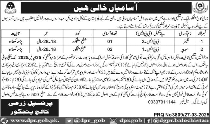 Agriculture College Panjgur Balochistan Jobs 2025 Jobs 2025 — original advertisement