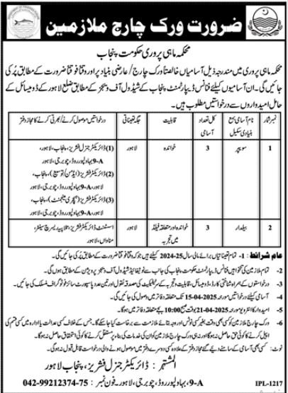 Fishries Department Punjab Jobs 2025 – Forest Wildlife & Fishries Department Punjab Jobs 2025 — original advertisement