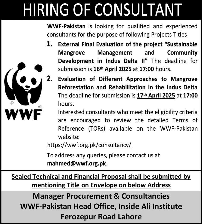 WWF Pakistan UN Lahore Punjab Jobs 2025 – World Wide Fund WWF Pakistan Jobs 2025 — original advertisement