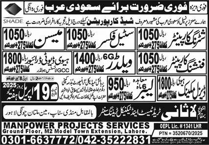 Finishing Carpenter & Heavy Duty Driver Jobs 2025 – Lasani Trade Test & Technical Training Center Jobs 2025 — original advertisement