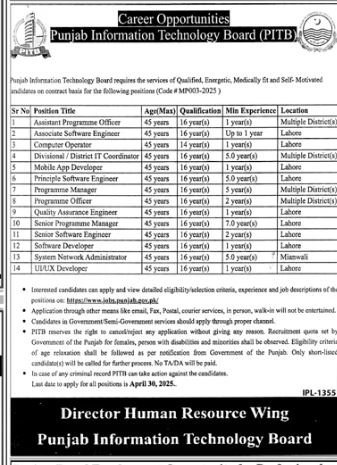 Punjab Information Technology Board Jobs 2025 Jobs 2025 — original advertisement