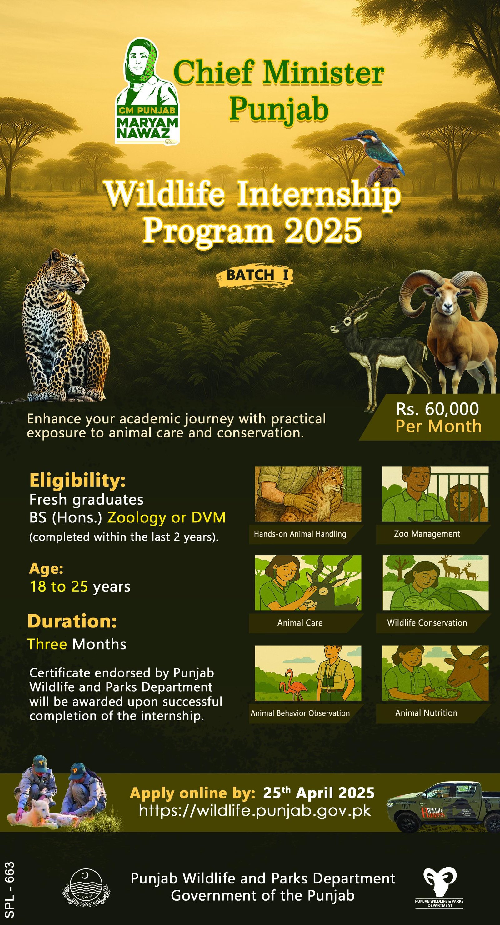 Punjab Wildlife & Parks Department Internship Program 2025 – Forest Wildlife & Fishries Department Punjab Jobs 2025 — original advertisement