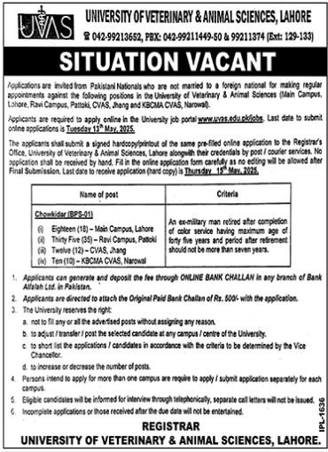 University of Veterinary and Animal Sciences Lahore Jobs Jobs 2025 — original advertisement