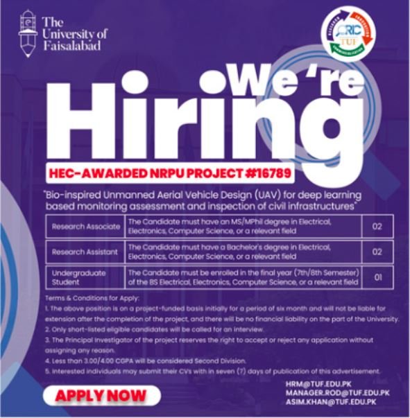 The University Of Faisalabad Punjab Jobs 2025 Jobs 2025 — original advertisement