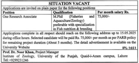 University Of The Punjab PU Lahore Jobs 2025 – University of Punjab Jobs 2025 — original advertisement
