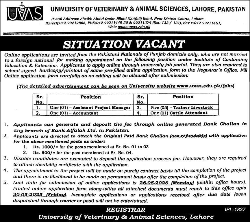 University Of Veterinary & Animal Sciences UVAS Jobs 2025 – University of Veterinary and Animal Sciences Lahore Jobs 2025 — original advertisement