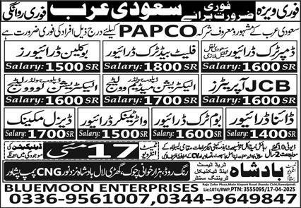 Electrician Low Voltage & Dyna Driver Jobs 2025 – Blue Moon Enterprises Jobs 2025 — original advertisement