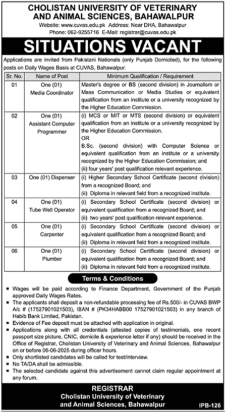 Cholistan University Of Veterinary CUVAS Bahawalpur Jobs – Cholistan University of Veterinary and Animal Sciences Bahawalpur Jobs 2025 — original advertisement