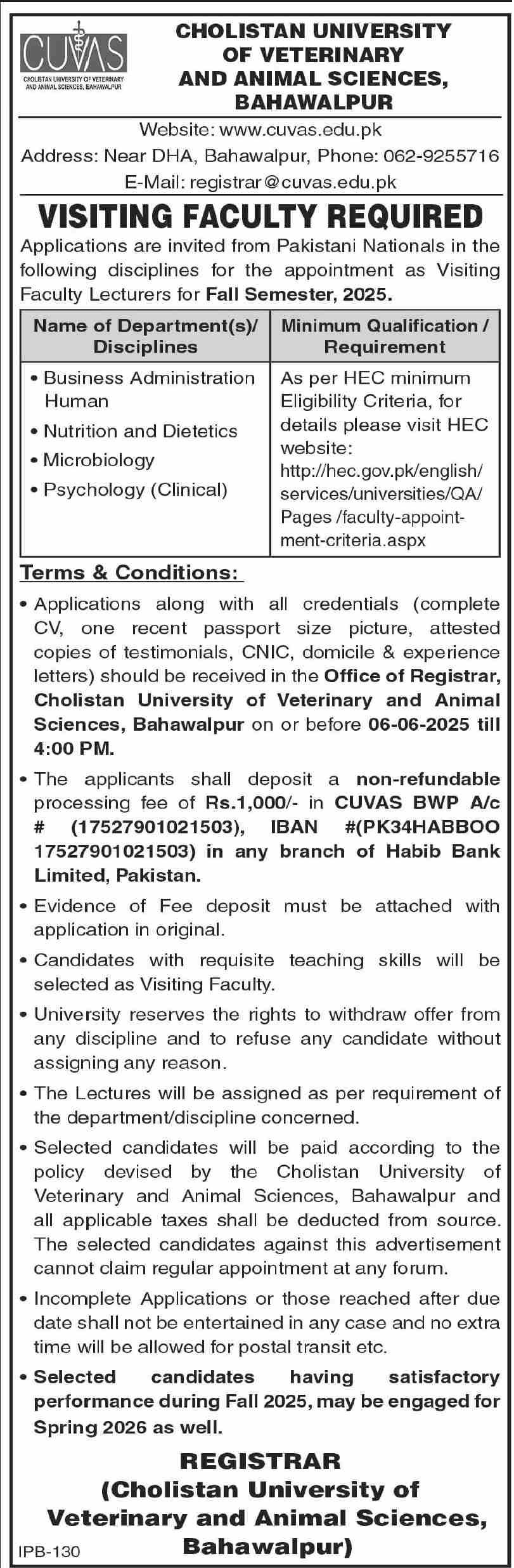Cholistan University Of Veterinary & Animal Sciences Jobs – Cholistan University of Veterinary and Animal Sciences Bahawalpur Jobs 2025 — original advertisement