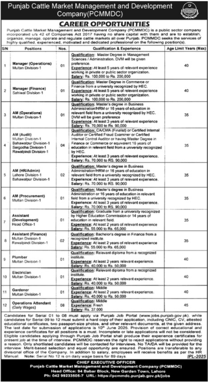 Punjab Cattle Market Management & Company Jobs 2025 – Private Company Jobs 2025 — original advertisement