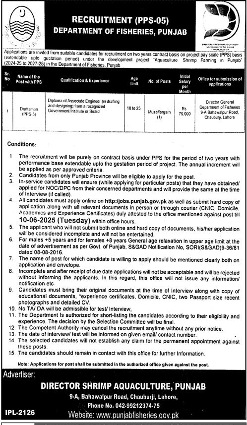 Department of Fishries Punjab Jobs 2025 – Forest Wildlife & Fishries Department Punjab Jobs 2025 — original advertisement