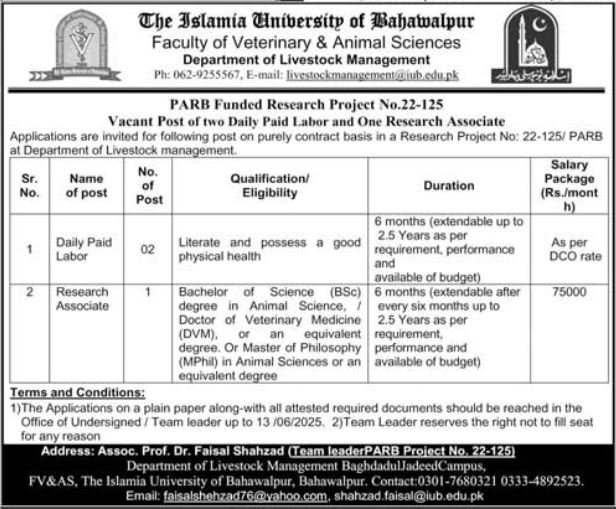 The Islamia University Of Bahawalpur Jobs 2025 – Islamia University Bahawalpur Jobs 2025 — original advertisement