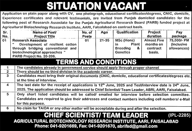 Agricultural Biotechnology Research Institute AARI Jobs 2025 – Agriculture Department Punjab Jobs 2025 — original advertisement