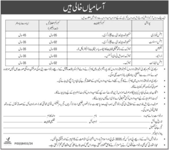 Public Sector Organization Islamabad Jobs 2025 Jobs 2025 — original advertisement