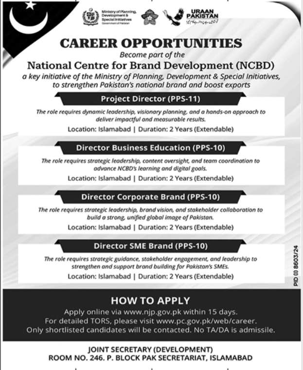 Ministry Of Planning Development & Special Initiative Jobs – Ministry of Planning Development & Special Initiatives Islamabad Jobs 2025 — original advertisement