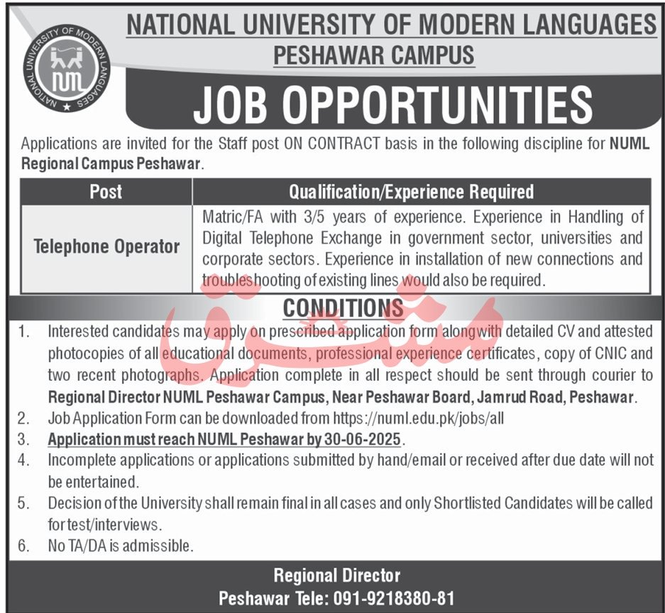 NUML Peshawar Campus Jobs 2025 – National University of Modern Languages Islamabad Jobs 2025 — original advertisement