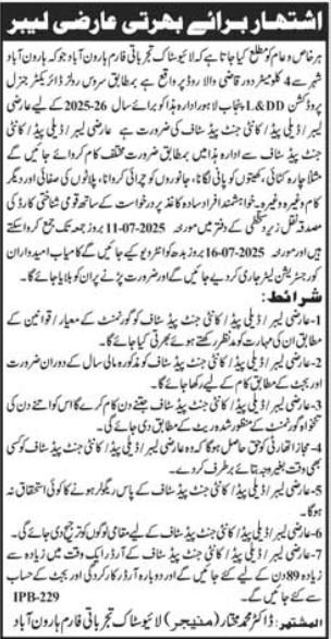 Livestock Department Harronabad Job 2025 – Livestock and Dairy Development Department Punjab Jobs 2025 — original advertisement