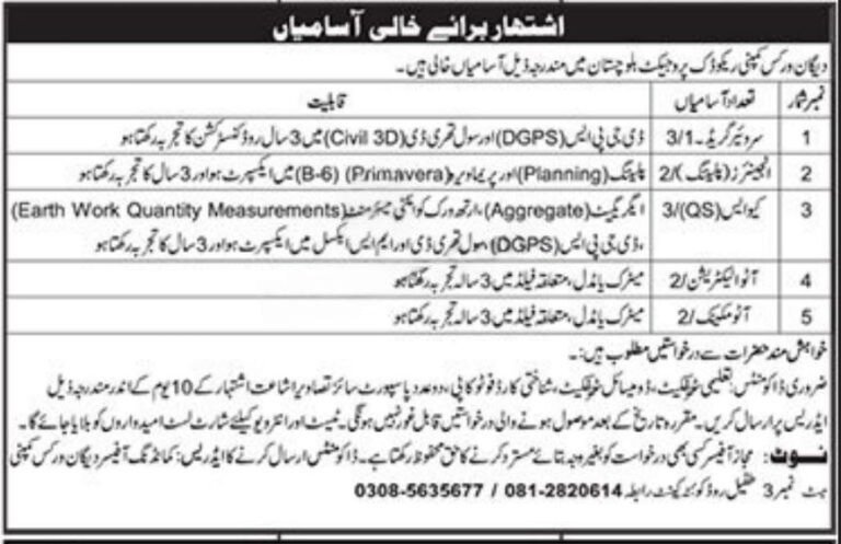 Digan Works Company Reko Diq Project Balochistan Jobs 2025 – Private Company Jobs 2025 — original advertisement