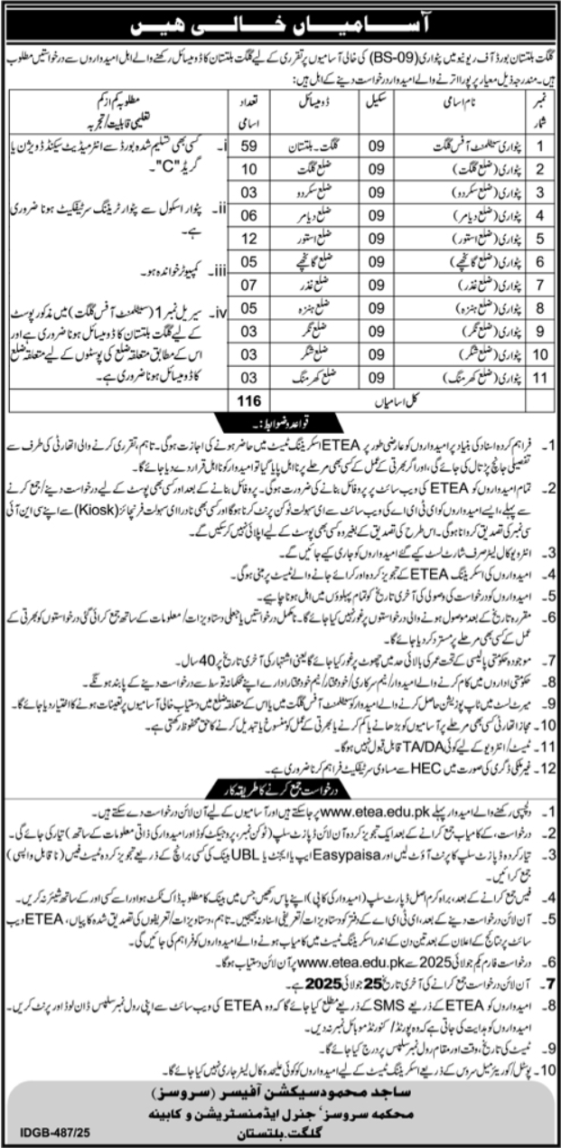 Board Of Revenue Gilgit Job 2025 – Government of Gilgit-Baltistan Jobs 2025 — original advertisement