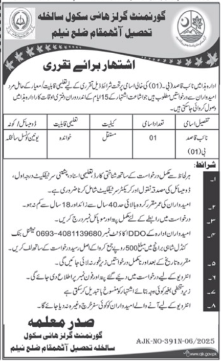 Government Girls High School Neelum Job 2025 – Govt of Azad Kashmir Jobs 2025 — original advertisement