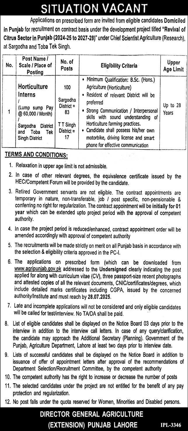 Revival Of Citrus Sector In Punjab Project Jobs 2025 – Agriculture Department Punjab Jobs 2025 — original advertisement